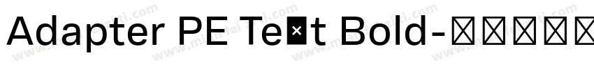 Adapter PE Text Bold字体转换